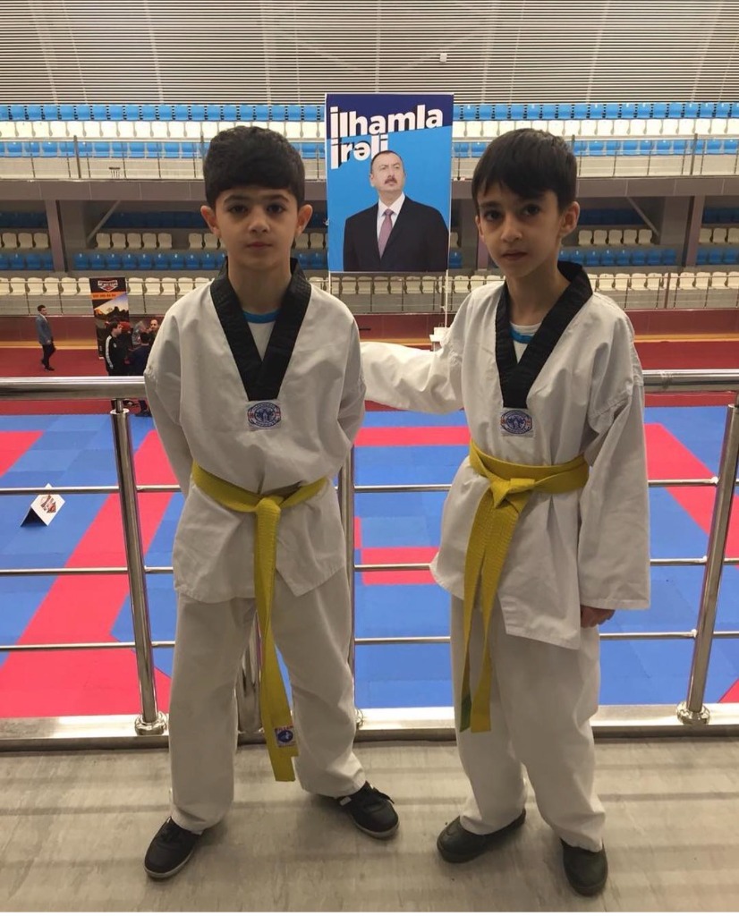 Taekwondo brothers